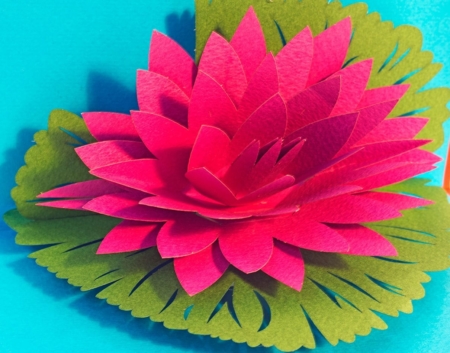 3d pop up card Water Lily red 