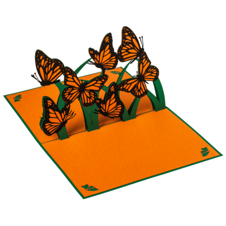 kaleidoscope of Monarch butterflies Migration