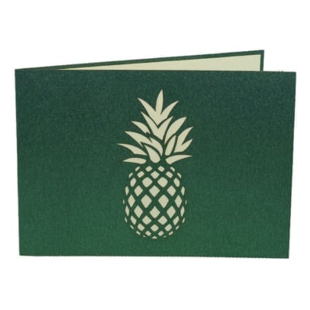Welcome Home Pineapple Cover Product