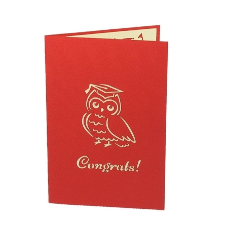 CONGRATS GRADUATE! ~ Owl popup card