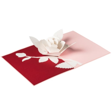 Red and Pink card with White Rose