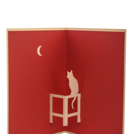 Moon Cat pop up card