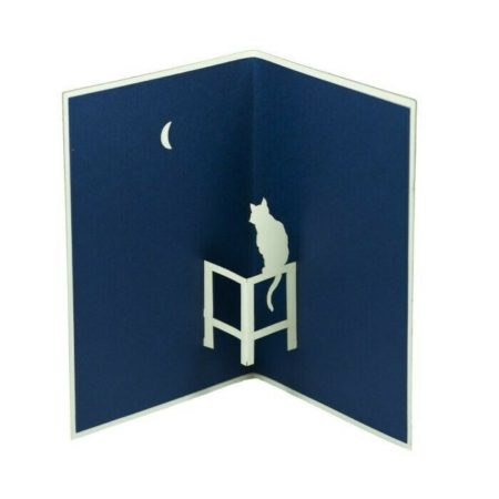 moon cat inside pop up card