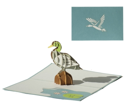 Drake the Duck pop up card with cover