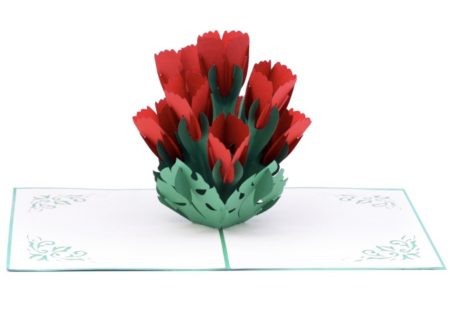 Red tulips open pop up card