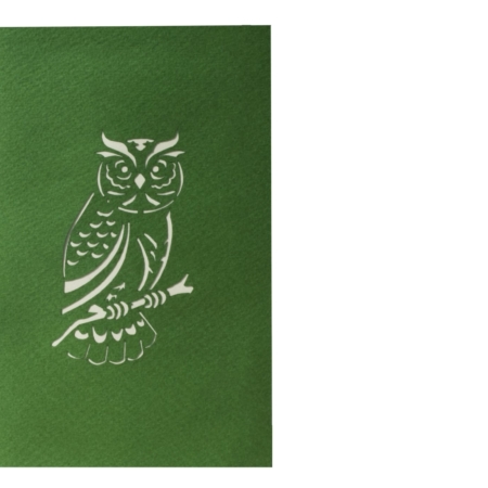 HOOT OWL ~ Pop Up Card