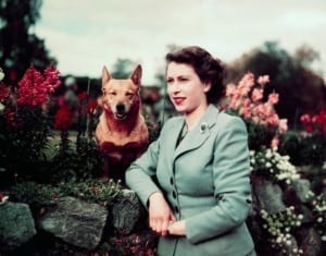 Elizabeth In Her Garden 1953