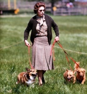 Queen Elizabeth Ii Walking Her Corgis In 1980