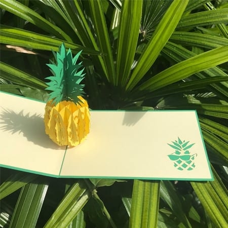 Sunny hospitality Pineapple