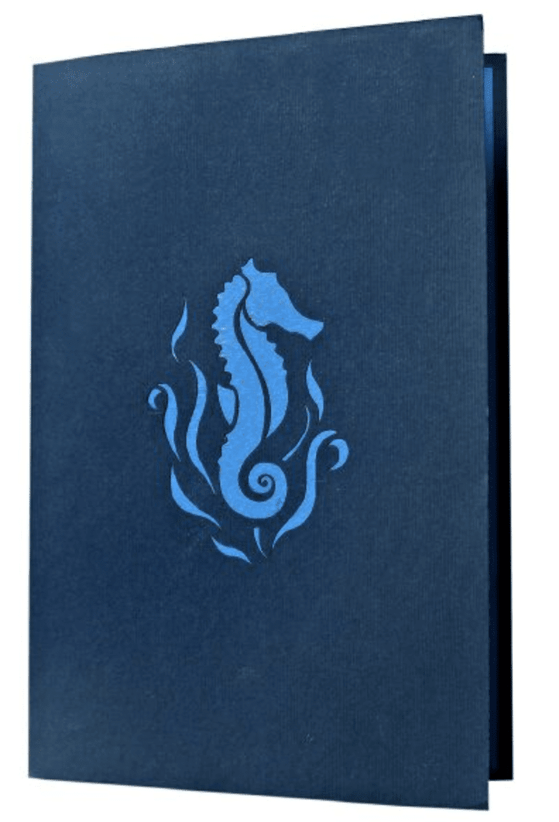 Seahorse Cover 1