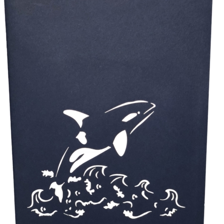 ORCA KILLER WHALE ~ Nature Pop Up Card
