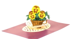 pansy pop up card
