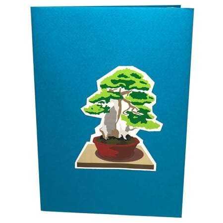 MORIKAMI BONSAI TREE ~ Pop Up Card