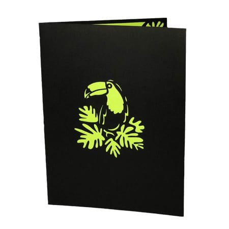 Rainforest Toucan Cover Product
