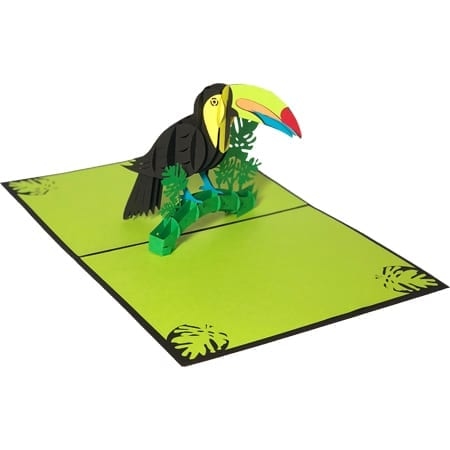 Rainforest Toucan Product Edited