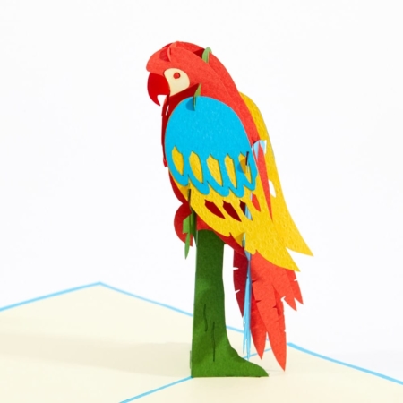 Parrot2 Detail