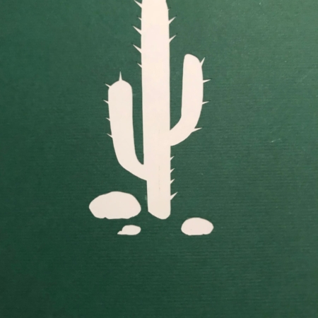 Cactus Flower cover