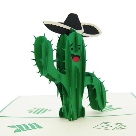 Closer Up Señor Cactus