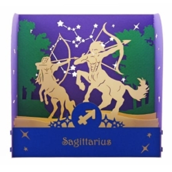 Sagittarius Zodiac Sign Front Product