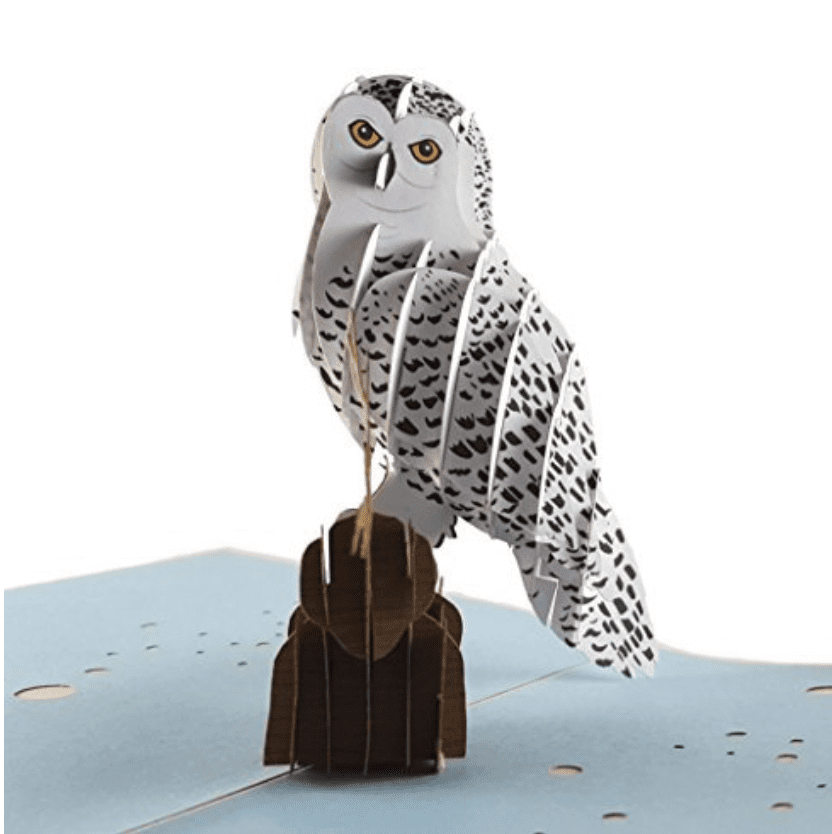 Snowy Owl Fukuro