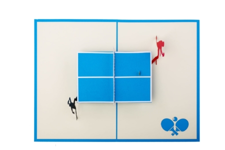 Table Tennis or Ping Pong view from above