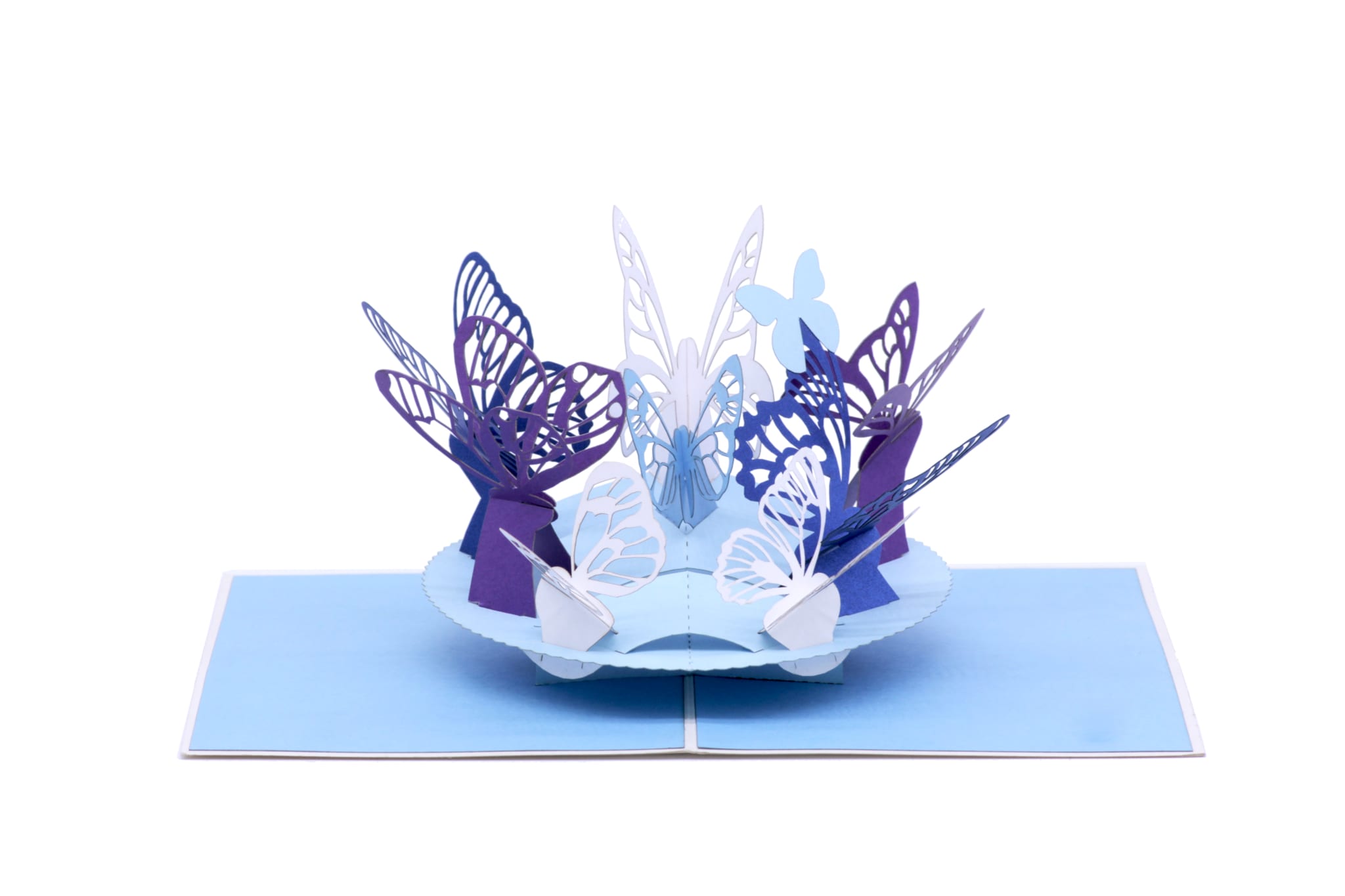 Blue Butterflies Pa104