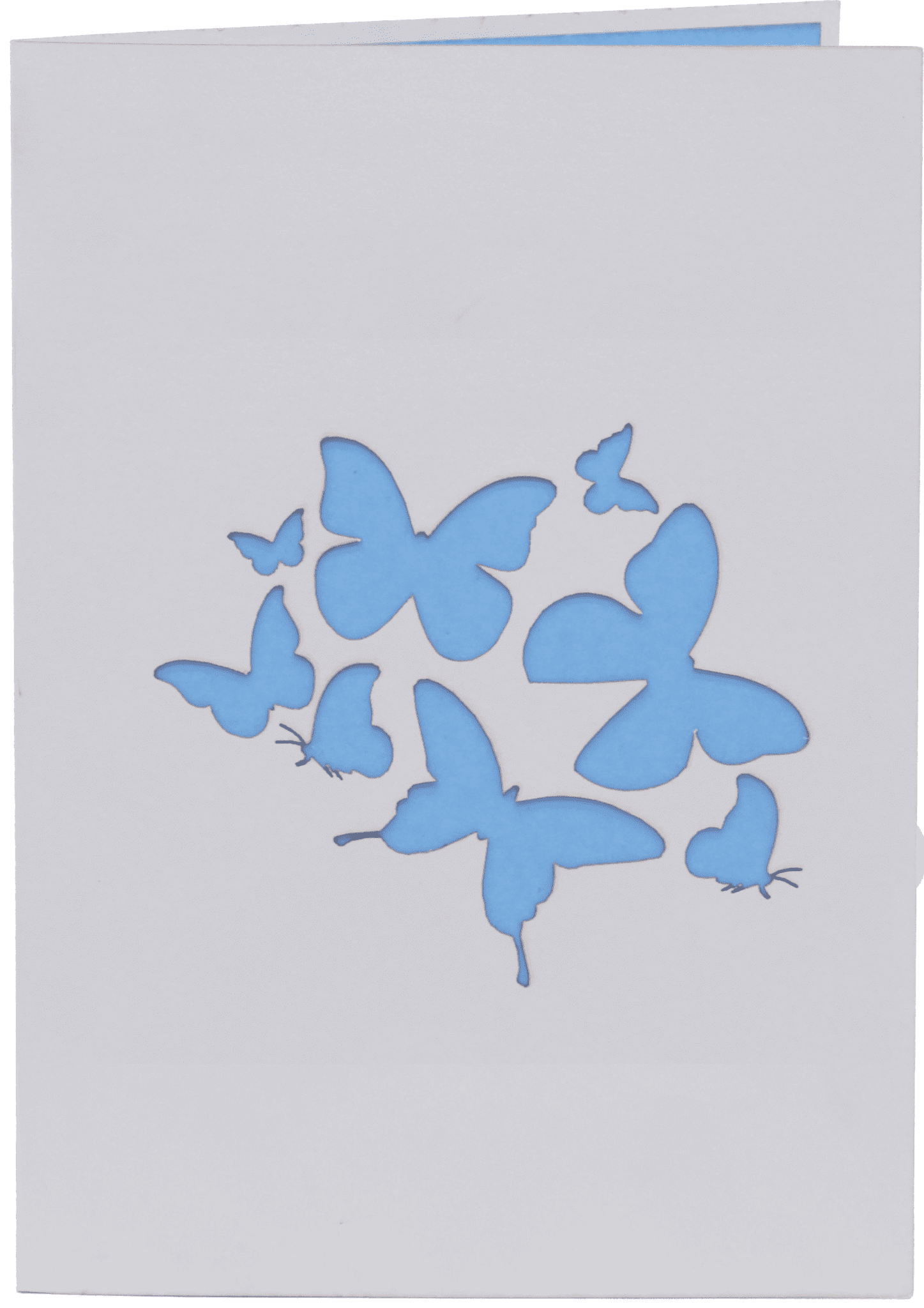 Blue Butterflies Cover Pa104b