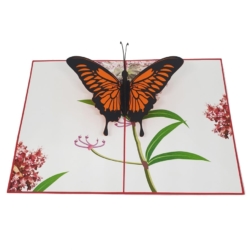 open card monarch butterfly on milkweed