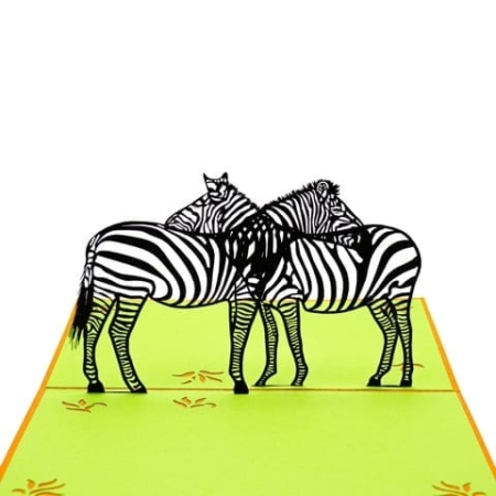 Zebra Open