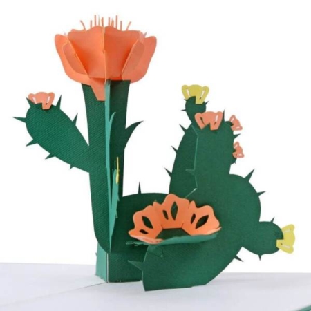 Cactus Flower 3d Pop Up Card Fl042 2