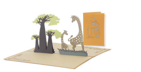 Africa Giraffe and Baobab trees with cover Cropped