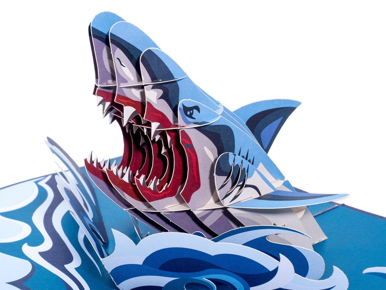 Great White Shark Closeup