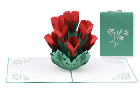 Radiantly Red Tulips with green cover