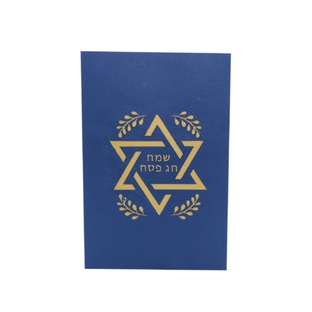 HAPPY PASSOVER ~ Pesach Jewish Pop Up Card