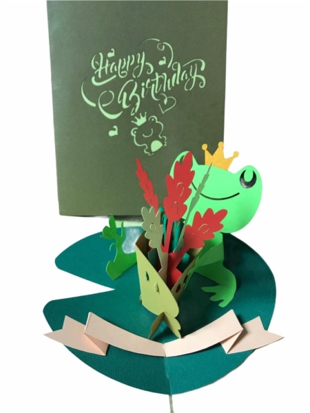 Hoppy Birthday frog with cover