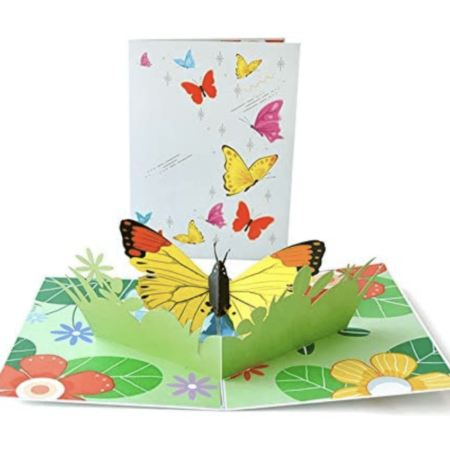 Butterfly Garden Open Card And Cover