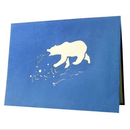 Grizzly Bear catching Salmon cover