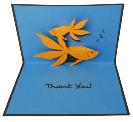 fantail fish TY thank you note