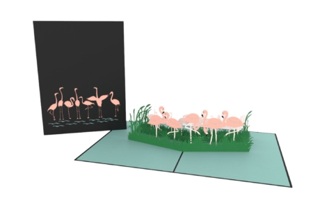 Tickled Pink Flamingos pop up card