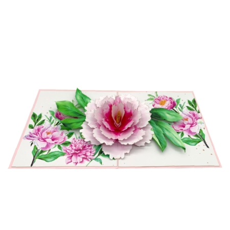 Pretty in Pink Peony pop up card