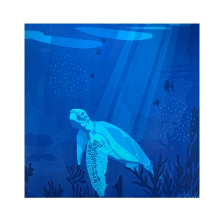 sea turtle pop up card cover