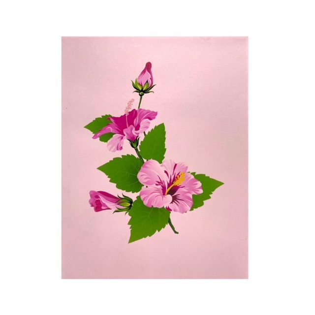 hummingbird & hibiscus pop up card cover