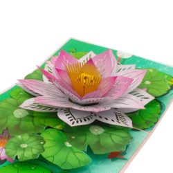 Sacred Lotus pop up card on a slant