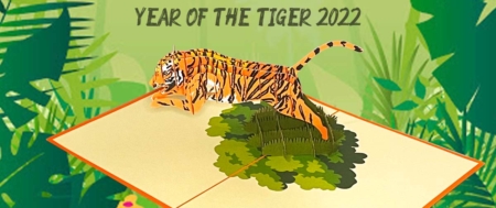 2022 is Year of the Tiger banner