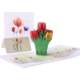 Dreamy Tulips pop up card with note card and cover
