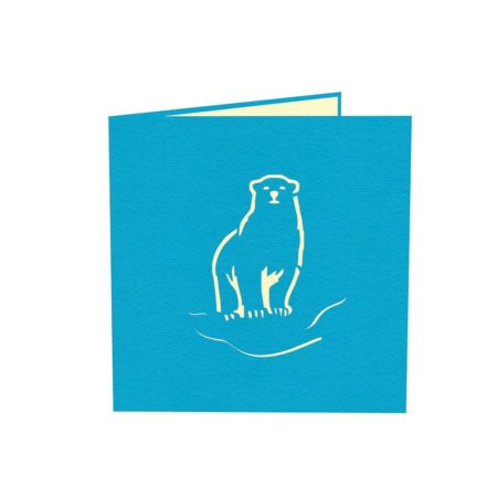 polar bear on ice pop up card cover