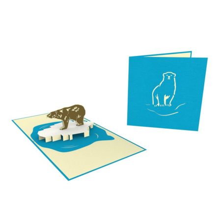 polar bear on ice raft pop up card and cover
