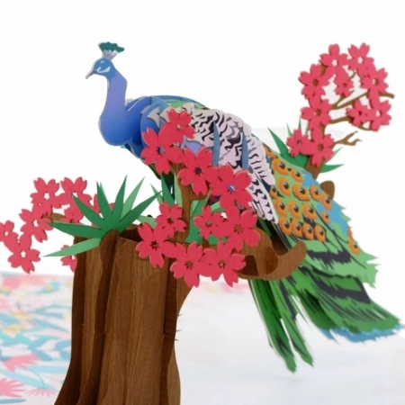 Peacock pop up card detail