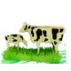 Dairy Cow Got Milk? pop up card detail