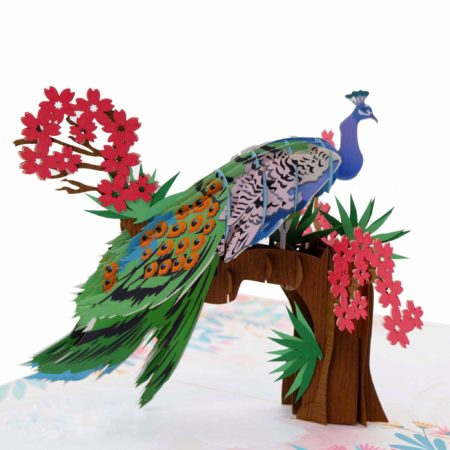 Peacock and cherry tree pop up card
